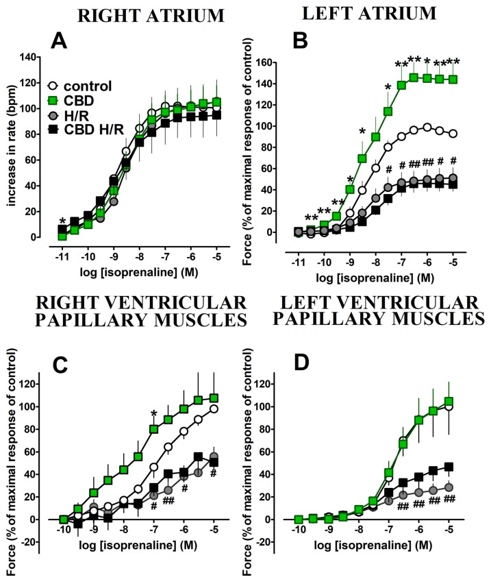 Influence of cannabidiol (CBD; 1 µM) on the isoprenaline (ISO)-induced changes in rate ((A), right atria) and force of contractions ((B), left atria and (C,D), ventricular papillary muscles) isolated from Wistar rats. The concentration curves for isoprenaline were constructed before (control, CBD) or after hypoxia and reoxygenation (H/R, CBD H/R). Cannabidiol (CBD) 1 µM or its vehicle was administered 30 min before the beginning of hypoxia (H/R, CBD H/R) or before the first concentration of ISO (control, CBD). For experimental protocol, see Figure 1. Values were expressed as an increase in the rate of the right atria and as percentages of the maximum responses to isoprenaline (left atria and papillary muscles) of the control group. Data are given as the means ± SEM of 6–10 rats. * p < 0.05, ** p < 0.01; significant effect of CBD. # p < 0.05, ## p < 0.01 significant effect of H/R. One-way analysis of variance (ANOVA) with Bonferroni post hoc test. bpm, beats per minute.