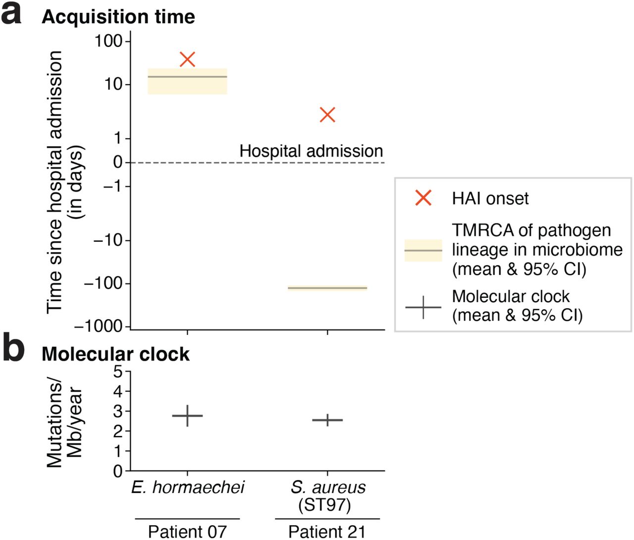 Estimating the time to the most recent common ancestor within the patient’s microbiome for two pathogen lineages.a. Inferred time to the most recent single-celled ancestor of the pathogen lineage (mean in grey; 95% confidence interval in yellow) in respect to clinical diagnosis (red cross). Time since hospital admission shown with a dashed line. Times were inferred using the earliest timepoint where eight or more isolates have been collected from the microbiome to approximate diversity, which was either before or within 6 h of HAI onset. Confidence intervals were calculated using 10,000 bootstraps of the observed genotypes combined with random sampling from a gamma distribution fitted to the molecular clocks.b. Molecular clocks and their 95% confidence interval used for the TMRCA analysis were inferred either from the patient data directly (E. hormaechei [Figure S15]) or from longitudinally collected S. aureus isolate-genomes part of the same sequence type infecting patient 21 (ST97) 11.