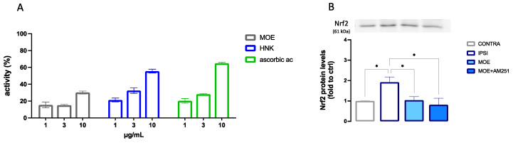 Antioxidant activity of HNK and MOE. (A) Anti-radical scavenger activity of MOE and HNK (1–10 µg/µL) in the DPPH test. Ascorbic acid was used as a reference drug. (B) Reduction of the overexpression of Nfr2 by MOE in spinal cord samples from SNI mice. * p < 0.05.