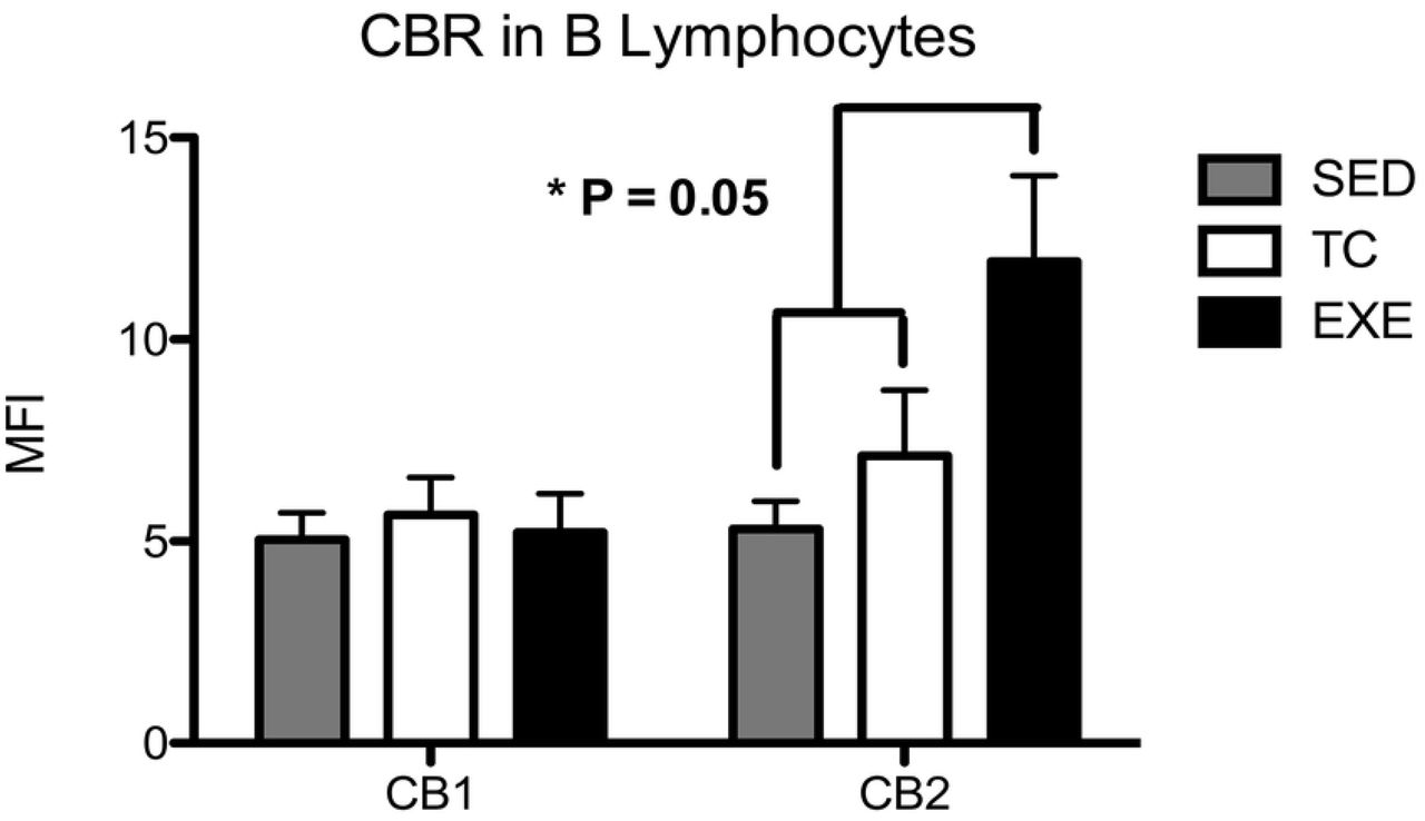 Expression of CBR in B lymphocytes from spleen.Analysis of the expression of CB1 and CB2 CBR in B lymphocytes from spleen among experimental groups: SED (shaded bar), TC (white bar) and EXE (Solid bar); data from 4 independent experiments are expressed as mean ± SE. Lines connecting bars represent comparison among groups, * p<0.05. Two way ANOVA and Bonferroni post-test, n=10.