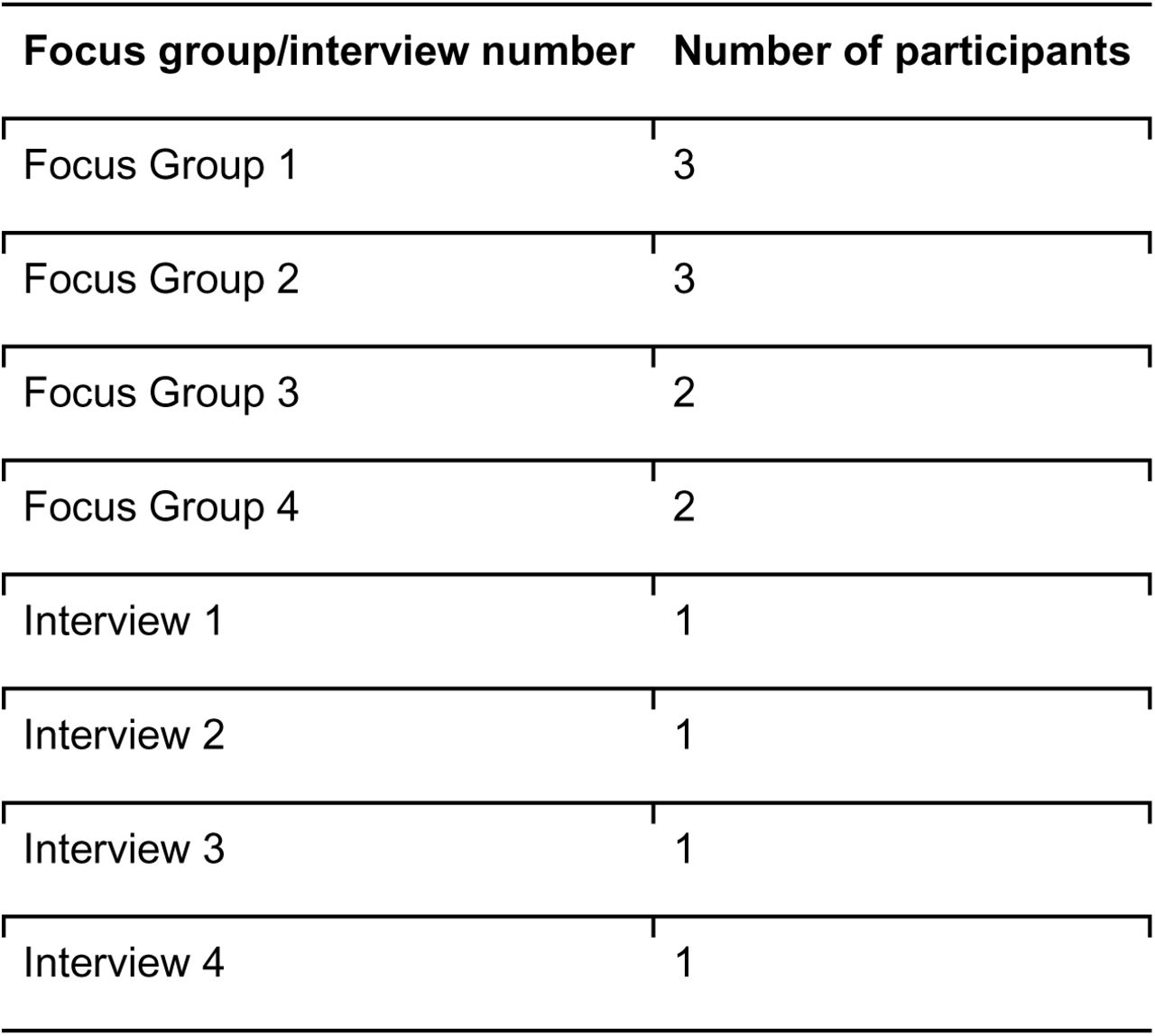 Characteristics of the focus groups and interviews.