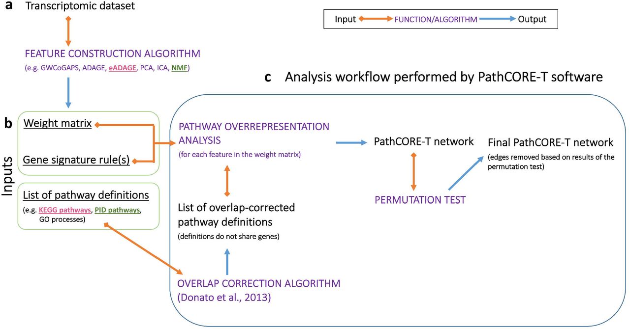 The PathCORE-T software analysis workflow.(a) A user applies a feature construction algorithm to a transcriptomic dataset of genes-by-samples. The features constructed must preserve the genes in the dataset and assign weights to each of these genes according to some distribution. (b) Inputs required to run the complete PathCORE-T analysis workflow. The constructed features are stored in a weight matrix. Based on how gene weights are distributed in the constructed features, a user defines thresholds to select the set of genes most indicative of each feature’s function—we refer to these user-defined thresholds as gene signature rules. Finally, a list of pathway definitions will be used to interpret the features and build a pathway co-occurrence network. (c) Methods in the PathCORE-T analysis workflow (indicated using purple font) can be employed independently of each other so long as the necessary input(s) are provided. The 2 examples we describe to demonstrate PathCORE-T software use the following inputs: (1) the weight matrix and gene signature rules for eADAGE (applied to the P. aeruginosa gene compendium) and KEGG pathways and (2) the weight matrix and gene signature rules for NMF (applied to the TCGA pan-cancer dataset) and PID pathways.