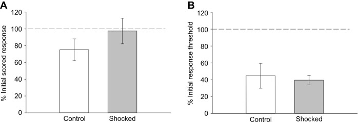 Effect of electroshocks on responses to mechanical nociceptive stimuli. (A) No statistically significant difference is observed for scored responses to needle pokes between unshocked, control animals (N=7) and shocked animals (N=7). (B) Needle pokes did sensitize the control animals to non-nociceptive stimuli in the control group that was equivalent to the effects of the electroshocks. This is an indication that the needle pokes are noxious stimuli.