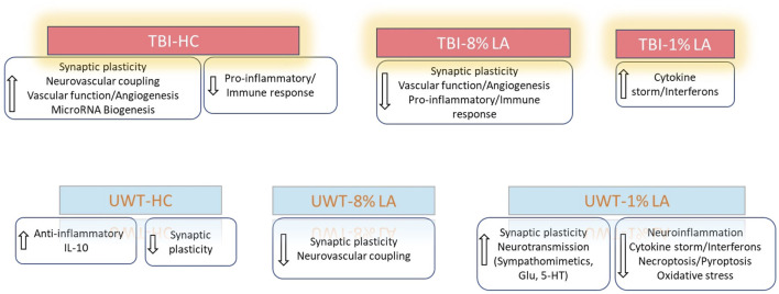 Summarizes the influence of DHA-rich and -deficient diets on the ocular neuronal plasticity, inflammatory response and vascular function in the rats exposed to different traumatic events.