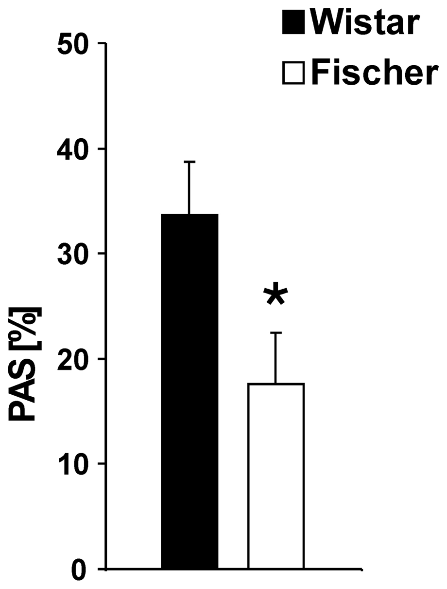 PAS in Wistar and Fischer rats.A significant lower percentage PAS response was detected in Fischer rats compared to Wistar rats, indicating a lower inhibitory effect of the conditioned odor on the startle magnitude in Fischer rats. Values are expressed as means ± SEM (p<0.05 is indicated by asterisks).