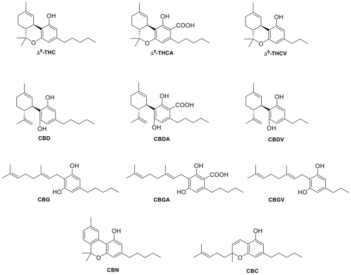 Structure of selected plant cannabinoid ligands that target TRP channels.