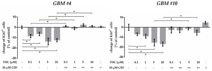 Effects of increasing THC concentrations in presence of GPR55 antagonist CID16020046 (CID). In comparison to the untreated control group, application of different THC concentrations (0.1–10 µM) for 24 h led to a significant reduction in the number of Ki67+ cells in GBM #4 and GBM #10. The Ki67-reducing effects of THC were effectively attenuated when CID (10 µM) was co-applied, whereas CID alone induced no alterations. To block the GPR55 receptor, we applied CID 15 min (++) before THC was subsequently added. Data are means ± SEM of N = 3 independent experiments performed in duplicate. Significance was chosen for p < 0.05. The asterisk denotes significant results regarding the respective measurement indicated with the bar.