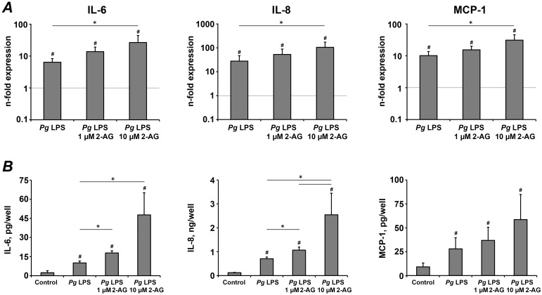 The effect of 2-AG on the production of pro-inflammatory mediators in hPdLCs in response to stimulation with P. gingivalis LPS.hPdLC were stimulated with P. gingivalis LPS in the presence or in the absence of 2-AG for 24 h and the production of pro-inflammatory mediators was measured on gene and protein levels by real-time PCR (A) and ELISA (B) respectively. A – Changes in the gene expression levels of IL-6, IL-8, and MCP-1 calculated by 2−ΔΔCt method taking non-stimulated cells as a reference (2−ΔΔCt = 1) and β-actin as a house-keeping gene. B – Content of pro-inflammatory mediators in the conditioned media measured by ELISA. Each value represents the mean ± s.e.m of 4 independent experiments. #Means were significantly compared to control group, tested with analysis of variance (P<0.05). *Means were significantly different between groups, tested with analysis of variance (P<0.05).