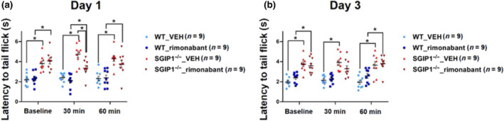 CB1 receptor antagonist temporarily alters nociception of SGIP1−/− mice. To assess the effect of the CB1 receptor antagonist on nociception, we injected the mice with 10 mg·kg−1·day−1 of rimonabant or vehicle for 3 days and measured their tail flick latencies on days 1 and 3 each day 30 and 60 min after injections. On day 1, 30 min after the injections, we observed significantly decreased latencies in SGIP1−/− mice treated with rimonabant compared to SGIP1−/− mice injected with vehicle (a). We continued the treatments for three consecutive days and measured the responses on day 3. The TIT responses following 30 min after the treatments with rimonabant between the WT and SGIP1−/− mice were not significantly different (b). The data were analysed by general linear model using program R and are presented as means ± SEM. *P < .05 significantly different as indicated