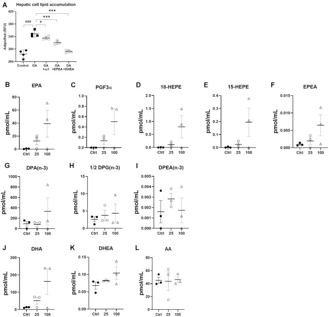ω-3 PUFA-derived endocannabinoid-like mediators decrease lipid accumulation in hepatic cells. (A) HepG2 cells were treated with FBS media (Control), FBS media supplemented with 200 um oleic acid (OA) or the OA media + an EPA/DHA mix (Om3 2:1) or 50 nmN-eicosapentaenoyl-ethanolamine (EPEA) or 50 nmN-docosahexaenoyl-ethanolamine (DHEA) for 48 h. (B–L) HepG2 cells were treated with FBS media (Control), and 25 or 100 mmol of ω3-PUFA (EPA/DHA 2:1 mix) for 24 h.Values are means ± SEM of n = 4 performed in triplicate. Oleic acid group was compared to Control through a two-tailed t-test: ###P < .001. A one-way ANOVA followed by Dunnett’s post-hoc test was performed to determine the significant effect of ω3-PUFA and their NAEs derivatives:*P < .05 ***P < .001.