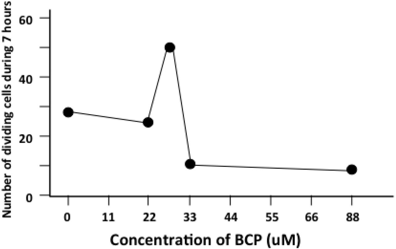 Proliferating primary fibroblast cells exposed to BCP at various concentration.Number of dividing and apoptotic cells during 7 hours of exposure to BCP.