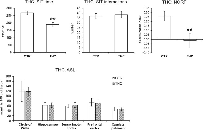 Behavior and cerebral blood perfusion in the THC model. The bar graphs indicate the mean ± SEM of all variables. THC rats spent shorter time by social interactions in the SIT but the number of interactions did not differ. The short-term recognition memory deficit in the THC model detected by NORT is apparent by a decreased discrimination index. In the analysis of regional blood perfusion t-test did not indicate any significant differences between the groups.