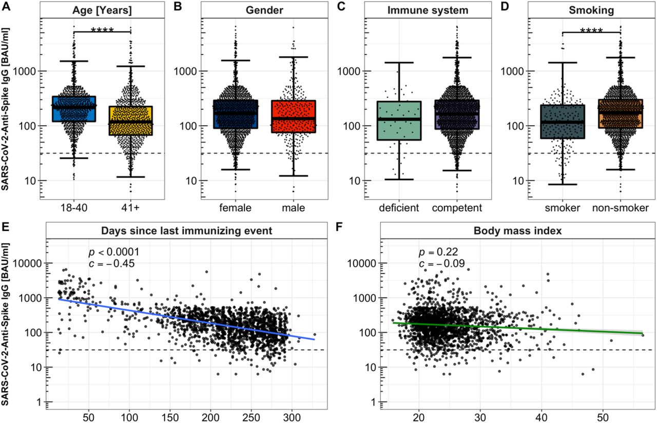 Anti-SARS-CoV-2-Spike IgG levels depending on individual physical propertiesFig. 4A: Comparison of Anti-SARS-CoV-2-Spike IgG levels depending on age in the categories 18 -40 years versus older than 40 years. Fig. 4B: Anti-SARS-CoV-2-Spike IgG titres among smokers versus non-smokers. Fig. 4C: Anti-SARS-CoV-2-Spike IgG levels of immune deficient compared to immune competent respondents. Fig. 4D: Anti-SARS-CoV-2-Spike IgG titres depending on sex. Fig. 4E: Chronological decline of Anti-SARS-CoV-2-Spike IgG levels among double vaccinated respondents, logarithmically scaled, each dot represents a study participant. Fig. 4F: Anti-SARS-CoV-2-Spike IgG titres depending on BMI logarithmically scaled.BAU/ml: Binding Antibody Units per millilitre****: p < 0.0001