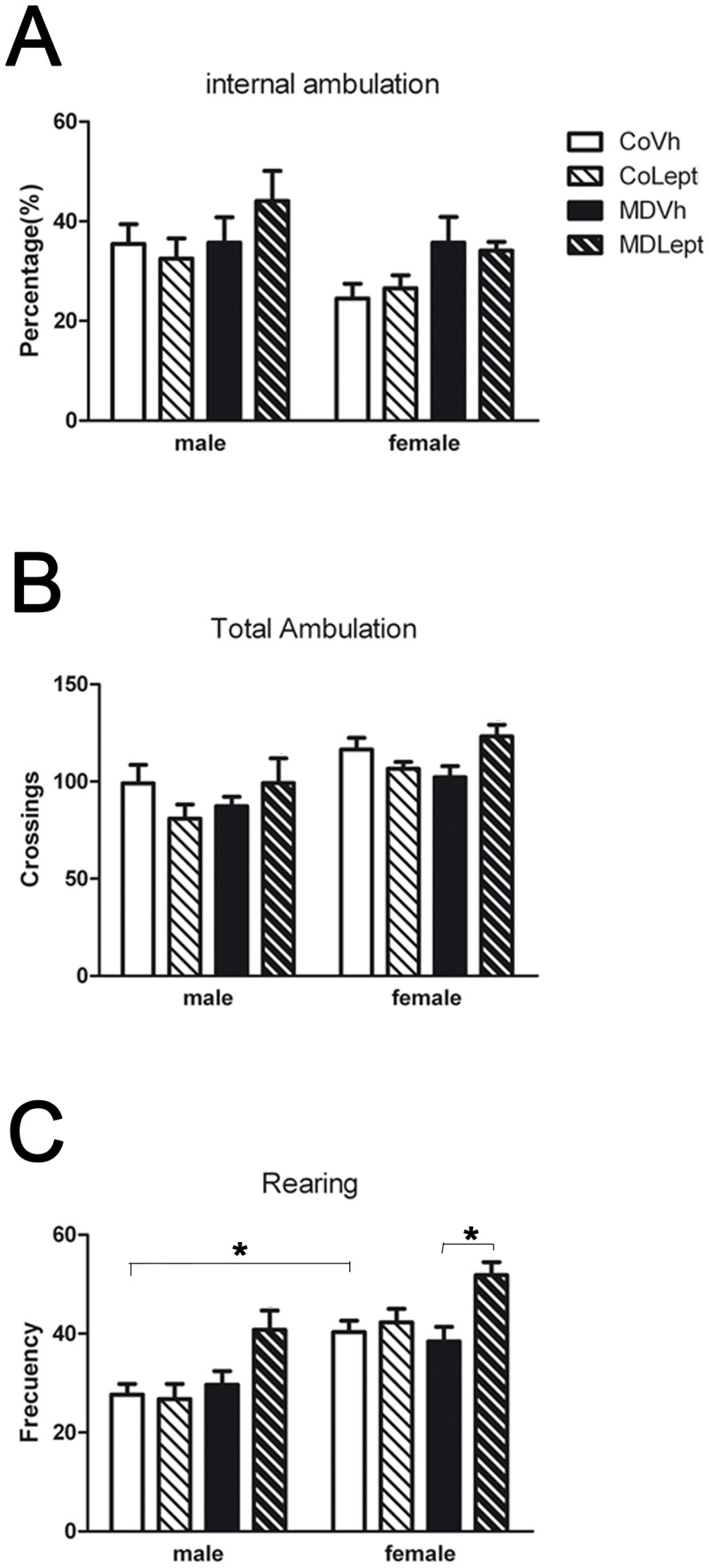 Open field test.(A) Emotionality index, calculated as the percentage of internal ambulation referred to total ambulation, (B) total ambulation and (C) rearing frequency were registered in maternally deprived (MD) or control (Co) male and female rats treated with leptin (Lept) or vehicle (Vh) from postnatal day (PND) 9 until PND13 (n = 10–12). Post hoc test: *<0.05.