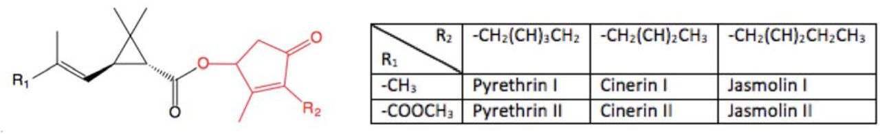 Structure of pyrethrins. The acid derivative is highlighted in red and the rethrolone in black. R1 is a methyl group (chrysanthemic acid) or methyl ester (pyrethric acid), and R2 is 2-butene, 2-pentene, or 2,4-pentdiene. The corresponding compound names are given on the right.