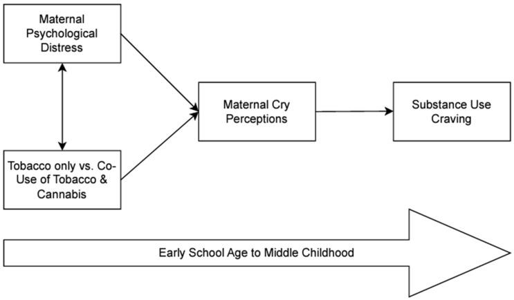 Conceptual model.