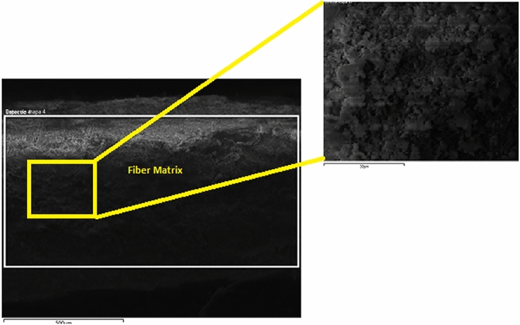 SEM image of hemp limecrete at hemp 4%.