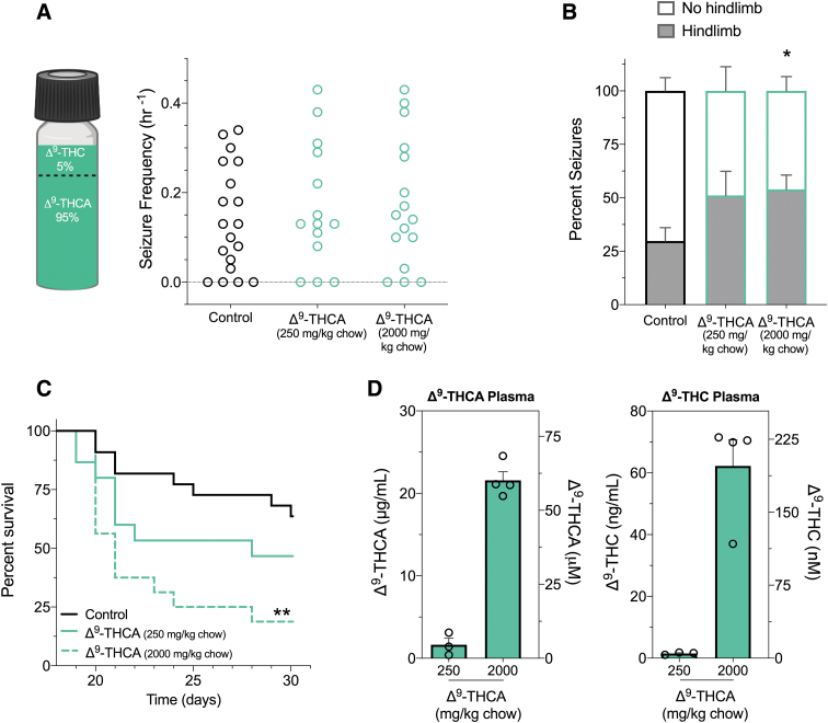 The effects of Δ9-THCA on spontaneous seizures and survival in Scn1a+/− mice. (A) A Δ9-THCA/Δ9-THC mixture was used for spontaneous seizure and survival experiments in Scn1a+/− mice. Cannabinoid content of the Δ9-THCA/Δ9-THC mixture used was 95% Δ9-THCA and 5% Δ9-THC. GTCS frequency of individual untreated and Δ9-THCA-treated mice is given. Treatments were administered orally through supplementation in chow, which was initiated after the induction of a single thermally induced seizure. Unprovoked, spontaneous GTCS were quantified over a 60-h recording period. Treatment with the Δ9-THCA/Δ9-THC mixture had no effect on incidence or frequency of seizures, with n=14–19 per group (Fisher's exact text and one-way ANOVA followed by Bonferroni's post hoc, respectively). (B) Proportion of spontaneous GTCS with (gray bars) or without (white bars) full tonic hindlimb extension is given. Subchronic treatment with high-dose Δ9-THCA/Δ9-THC mixture (2000 mg/kg chow) significantly increased the severity of GTCS in Scn1a+/− mice. The proportion of GTCS with tonic hindlimb extension was significantly greater compared with control-treated mice (*p<0.05; Bonferroni's planned comparisons). Error bars represent SEM with n=11–15. (C) Survival curves comparing control and Δ9-THCA/Δ9-THC mixture-treated mice are given. Treatment began at postnatal day 18 (P18) and survival was monitored until P30. Survival of Scn1a+/− mice was significantly worse with high-dose Δ9-THCA/Δ9-THC mixture (2000 mg/kg chow), with n=15–22 per group (**p<0.005; log-rank Mantel–Cox). (D) Plasma concentrations of Δ9-THCA (left panel) and Δ9-THC (right panel) from individual experimental animals treated with a Δ9-THCA/Δ9-THC mixture. Concentrations are depicted as both mass concentrations (left y-axis) and molar concentrations (right y-axis). Error bars represent SEM, with n=3–4 per treatment.