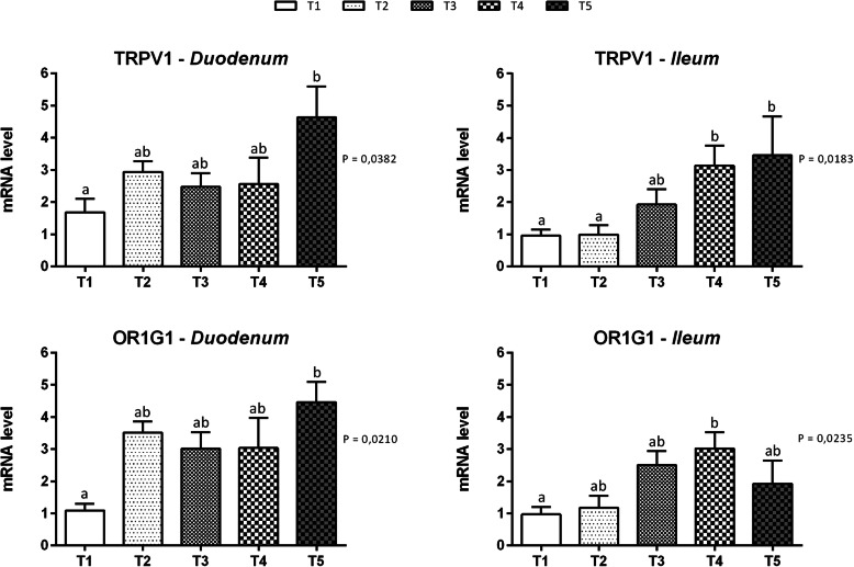 Gene expression of chemosensory receptors in duodenal and ileal mucosa of piglets. Data are expressed as means (n = 8) and S.E.M. represented by vertical bars. a,b Values with different superscripts differ significantly at P < 0.05. T1 = basal diet; T2 = basal diet + 25.5 mg of thymol/kg feed; T3 = basal diet + 51 mg of thymol/kg feed; T4 = basal diet + 153 mg of thymol/kg feed; T5 = basal diet + 510 mg of thymol/kg feed (Vetagro SpA, Reggio Emilia, Italy). A modification of the 2–ΔΔCT method was used to analyze the relative expression (fold changes), calculated relative to the control group (control; Livak and Schmittgen, 2001 [21]). TRPV1 = transient receptor potential vanilloid 1; OR1G1 = Olfactory receptor 1G1