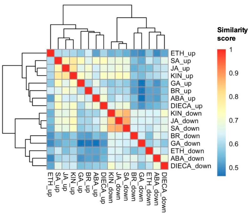 Hierarchically clustered (Ward’s method) gene cluster semantic similarity analysis of increasing (up) and decreasing (down) differentially abundant proteins when cannabis (Cannabis sativa L.) glandular trichome disc cells responded to phytohormones in vitro. Similarity analysis used the gene ontology of the closest arabidopsis homologs of the cannabis proteins of interest. Abbreviations: ABA, abscisic acid; BR, brassinolide; DIECA, diethyldithiocarbamate; ETH, ethephon; GA, gibberellic acid; KIN, kinetin; JA, jasmonic acid; SAL, salicylic acid.
