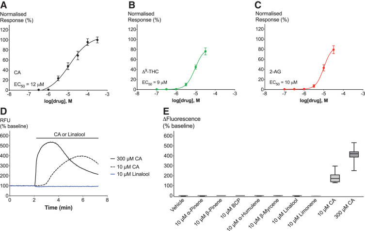 Effects of TRPA1 agonists and terpenoids on hTRPA1 cells. (A–C). Concentration–response curves of hTRPA1 agonists CA, Δ9-THC, and 2-AG. (D) Representative trace of effects of 10 μM linalool (blue), 10 μM CA (black broken), and 300 μM CA (black full) on hTRPA1. (E) Maximum change in fluorescence from baseline upon application of vehicle, 10 μM terpenoid, 10 μM CA, or 300 μM CA. Data derived from Δ9-THC, CA, and 2-AG experiments (see Figs. 2–4). N>5, mean±SEM. Drugs were added for the duration of the bar. Δ9-THC, Δ9-tetrahydrocannabinol; 2-AG, 2-arachidonoylglycerol; CA, cinnamaldehyde; BCP, β-caryophyllene; hTRPA1, human transient receptor potential ankyrin 1; SEM, standard error of the mean.