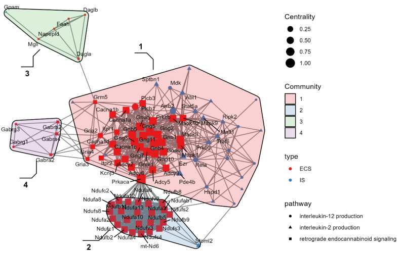 Network analysis. Differentially expressed genes (DEGs) from retrograde endocannabinoid signaling are represented in red, while DEGs from IL-2 and IL-12 production systems are represented in blue. Four communities have been identified: Community 1: glutamatergic synapse; p < 0.00001; Community 2: mitochondrial respiratory chain complex I; p < 0.00001. Community 3: anandamide metabolism; p < 0.00001. Community 4: GABAergic transmission GABA receptor complex; p < 0.00001.