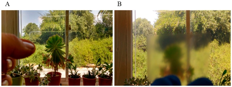 Qualitative comparison of transparency of CNC films compared to silk-CBD CNC 1:10 composite films. (A) 1:10 composite silk-CBD-CNC film; (B) CNC film.