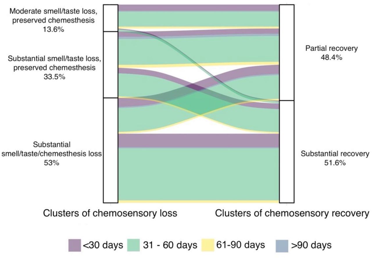 The pattern of chemosensory loss and recovery clusters in relation to days between the date of onset and completion of the questionnaire.