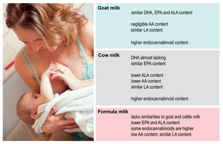 Similarities and differences in the lipid composition of human milk to goat milk, cow milk, and infant formula. The scheme highlights the key features of goat milk, cow milk, and infant formula that are similar to or different from human milk. Image courtesy of Dreamstime Stock Photos & Images, ID 49203333.
