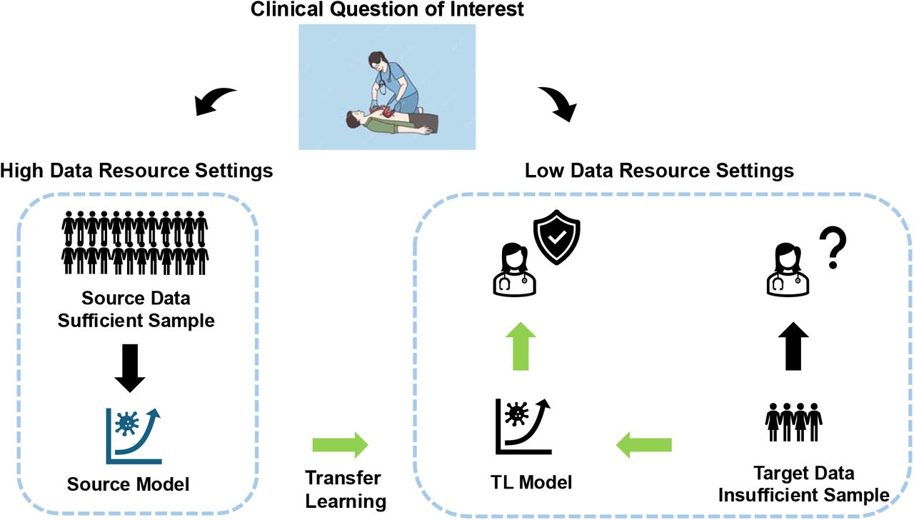 Illustration of the transfer learning (TL) approach. A source model, trained on large source data from high-resource settings, often performs poorly when applied to small target data from low-resource settings. A target model, trained only on target data, may also be suboptimal. TL improves predictive performance by adapting the source model using limited target data, producing a TL model better suited for low-data-resource settings (LDRS).