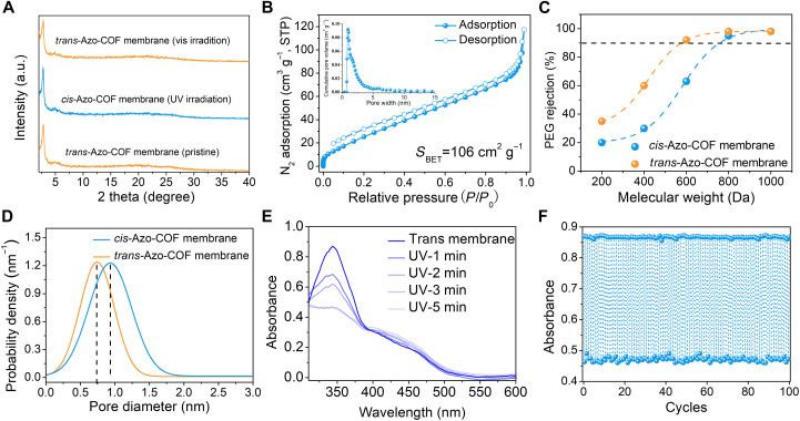Photoisomerization of azobenzene in the Azo-COF membrane.(A) PXRD patterns of the Azo-COF membrane before and after UV light irradiation. (B) N2 adsorption/desorption isotherm and corresponding pore size distribution after UV light irradiation. STP, standard temperature and pressure. (C) PEG rejection curves of the trans/cis-Azo COF membranes. (D) Pore size distribution of the trans/cis-Azo COF membranes calculated from MWCO. (E) UV-vis spectra of the Azo-COF membrane in DMF with UV light irradiation. (F) Photoisomerization cycles of the Azo-COF membrane dispersed in DMF with alternative UV and vis light irradiation.