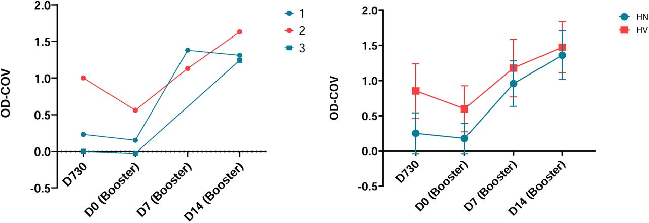 A) IgG ELISA results for booster participants with self-reported mpox-like disease between the 2-year post primary MVA-BN series visit (d730) and the 5-year visit (d0) upon enrollment into the booster study. Antibody levels were comparable, or continued to decline, for each participant between d730 and d0 of boost when mpox-like disease occurred. Participants 1 and 3 belonged to the Historically naïve (HN) sub-group, while 2 was Historically vaccinated (HV). B) mean responses for booster cohort HN and HV subgroups.