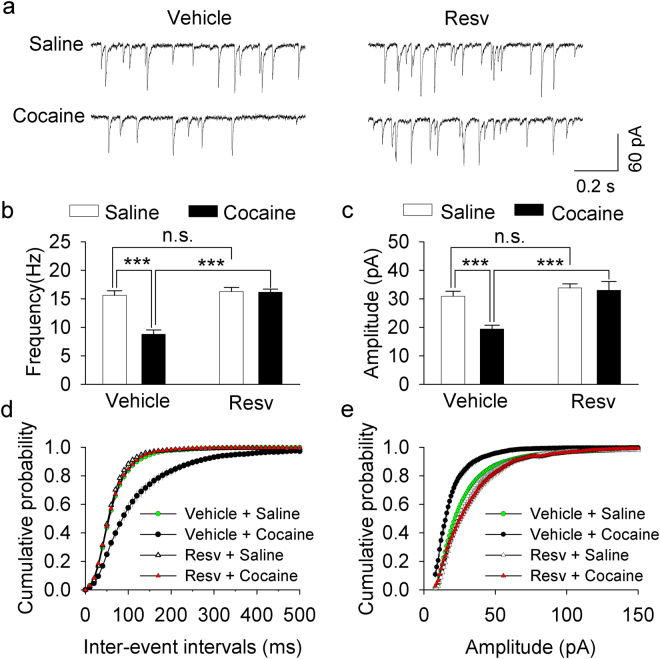 Resveratrol pretreatments blocked the reduction of GABAergic inhibition to dopamine neurons induced by cocaine conditioning. (a) Representative sIPSCs recorded from VTA dopamine neurons in slices prepared from saline- or cocaine-conditioned mice pre-treated with vehicle or resveratrol (Resv). (b,c) The average frequency (b) and amplitude (c) of sIPSCs in VTA dopamine neurons in these four groups of mice. The mean frequency and amplitude of sIPSCs were significantly decreased in cocaine-conditioned, vehicle-treated mice (***p < 0.001, n = 12–13), and this decrease was blocked by resveratrol pretreatments (***p < 0.001, n = 12–13). (d,e) Cumulative probability plots indicate that cocaine exposure led to shifts in the distribution of the inter-event intervals (d) and amplitude (e) in vehicle-treated mice; these shifts were blocked by resveratrol pretreatments (p < 0.001, n = 12–13).