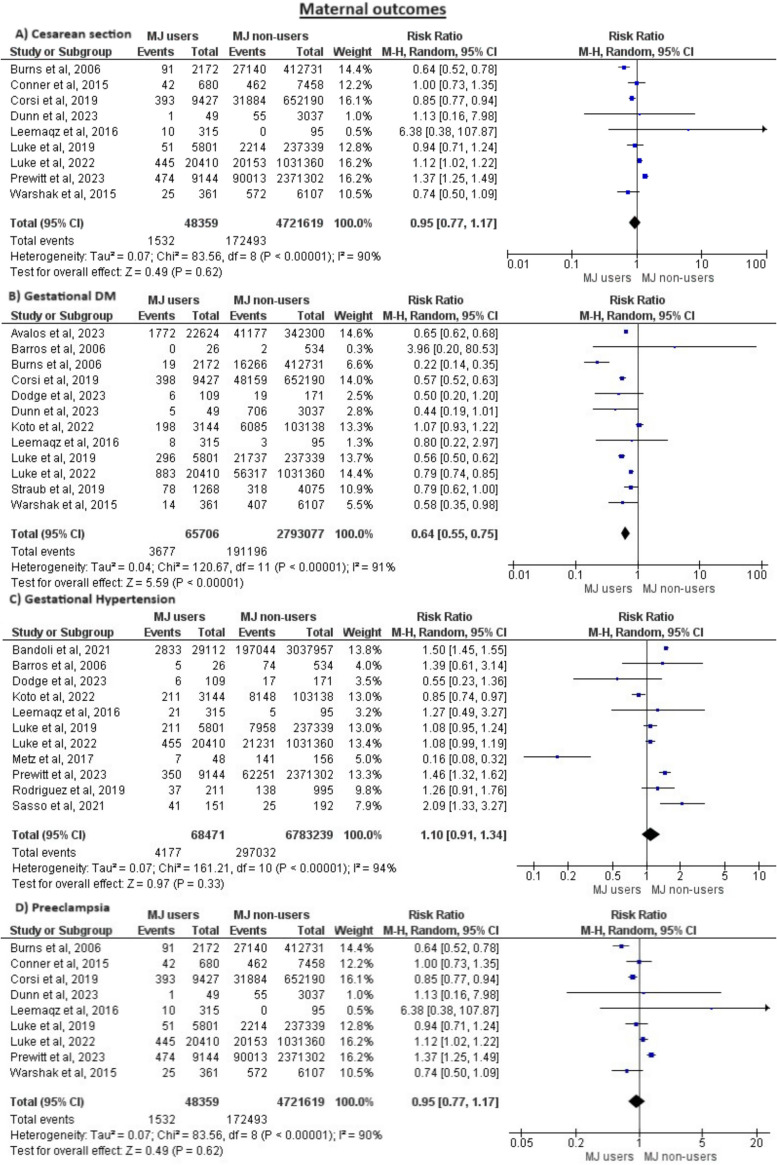 Meta-analysis of all maternal outcomes