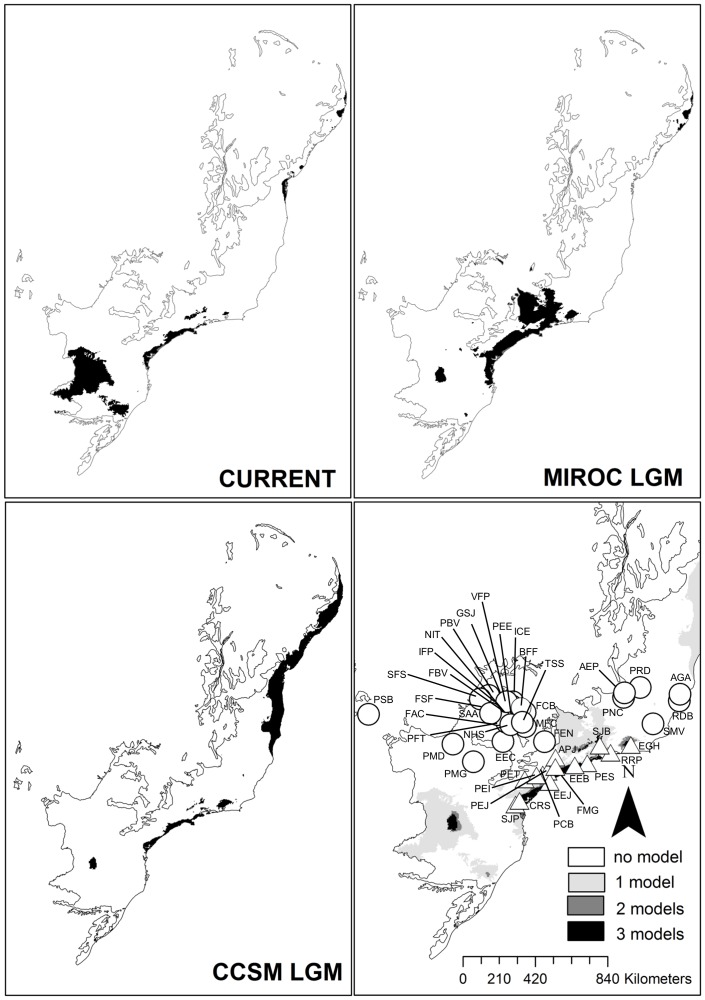 Distribution of the10% highest values of annual precipitation for the current time, the two last glacial maximum period (LGM), and the intersection of the three maps.Symbols (in the intersection map) indicate the 44 sites in the southern range of Brazilian Atlantic Forest. Dark shading indicates stable regions. White circles represent sites in an unstable region (Quaternary Climatic Oscillations). White triangles represent sites in a stable region (Quaternary Climatic Stability). Abbreviations of each site as in Appendix S1 in File S1.