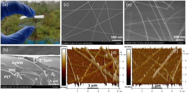 (a) Physical photo and (b) cross-section SEM image of the fabricated BHC/AgNW/THC TCF. (c) Top-view SEM image and (d) AFM image of the bare AgNW film coated on the polyethylene terephthalate (PET) substrate. (e) Top-view SEM image and (f) AFM image of the BHC/AgNW/THC TCF.