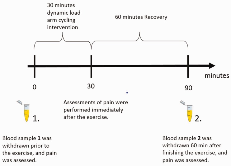 Blood sample was drawn just before the arm cycling intervention and 60 min after the intervention.