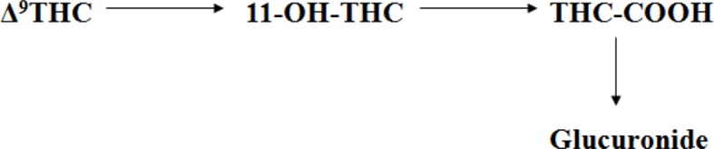 Metabolic route of ▵9-tetrahydrocannabinol (▵9_THC), its primary active metabolite 11-hydroxy-▵9-tetrahydrocannabinol (11-OH-THC) and the primary inactive metabolite, 11-nor-9-carboxy-▵ 9-tetrahydrocannabinol(THC-COOH) 12