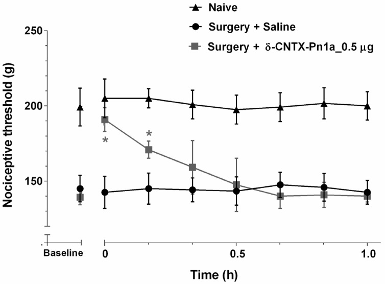 δ-CNTX-Pn1a antinociceptive effect on neuropathic hyperalgesia induced by surgical sciatic nerve constriction (14 days). Rats received 0.5 µg of δ-CNTX-Pn1a (0.1 nmol) or saline (control) through intrathecal injection. Rats that were not submitted to surgical intervention and not treated were labeled as naive. Nociceptive threshold was measured every 10 min, starting 5 min after the injections. Each symbol represents MEAN ± SEM. n = 4 rats per group. Data were analyzed using ANOVA and Bonferroni post-test. p < 0.05 compared to Surgery + Saline (*).