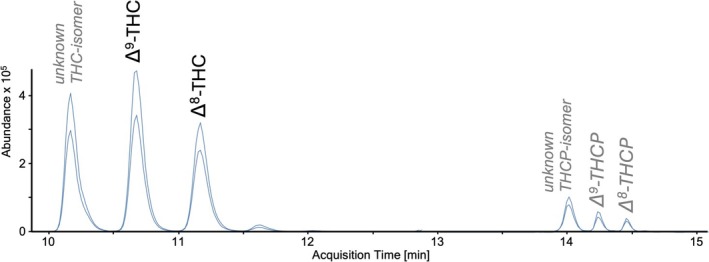 MRM‐Chromatogram of sample No. 2 showing the occurrence of THC‐ resp. THCP‐isomers, the definite assignment Δ9‐THC and Δ8‐THC based on reference substances (labels in black) as well as the putative assignment of Δ9‐THCP and Δ8‐THCP (labels in grey and italic).