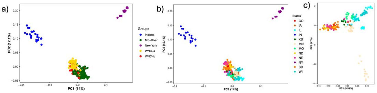 Principle Component Analysis of (a) 346 feral Cannabis plants colored by ADMIXTURE clusters, (b) collection states, and (c) collection states after removing Indiana and New York samples.