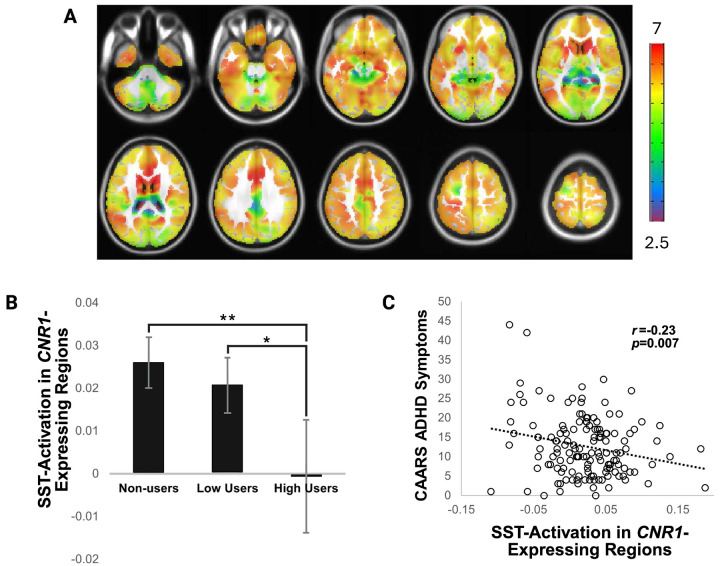 Model of ADHD symptoms predicting cannabis use class, including mediating effects of neural activation in CNR1-expressing brain regions. Relationships represented by a, b, and c paths were significant, and there was a trend (p<0.10) for an indirect effect in which ADHD symptoms related to cannabis use through deficits in brain function. *p<0.10, **p<0.05, ***p<0.005.