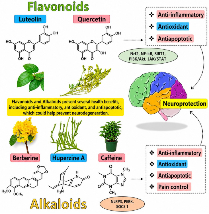 Terpenes and flavonoids [91].
