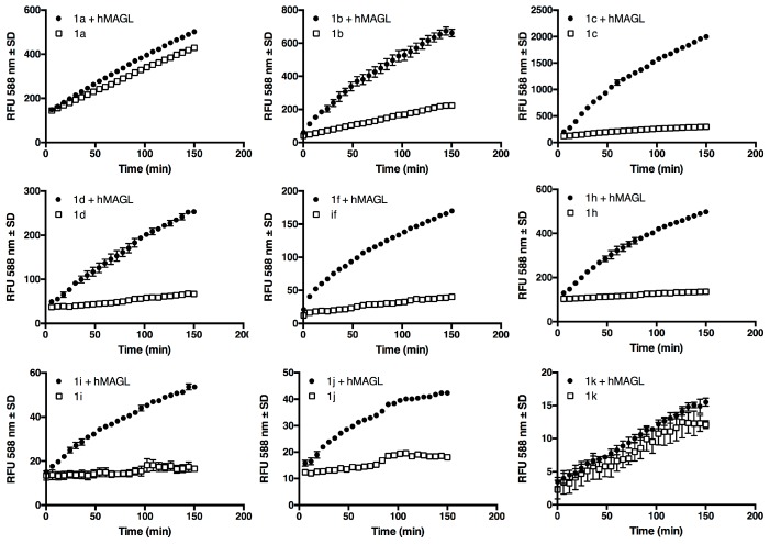 Time course of 1a–d, 1f, and 1h–k hydrolysis by human recombinant monoacylglycerol lipase (hMAGL). 25ng/well of hMAGL (circles) or buffer alone (empty squares) were incubated in 96-well black plate, at room temperature, with 5 μM of each compound in total volume of 100 μL/well, as described in the experimental section. Fluorescence was measured at indicated time points with a Jasco FP-8300 fluorometer (Jasco Europe, Cremella (LC) Italy) using the kinetic mode (λex = 571 nm, λem = 588 nm, slit = 5.0). Data are mean ± standard error of independent experiments.