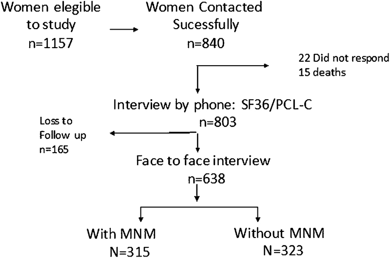 Flow chart of women's participation in the study.Abbreviations: MNM, Maternal Near Miss.