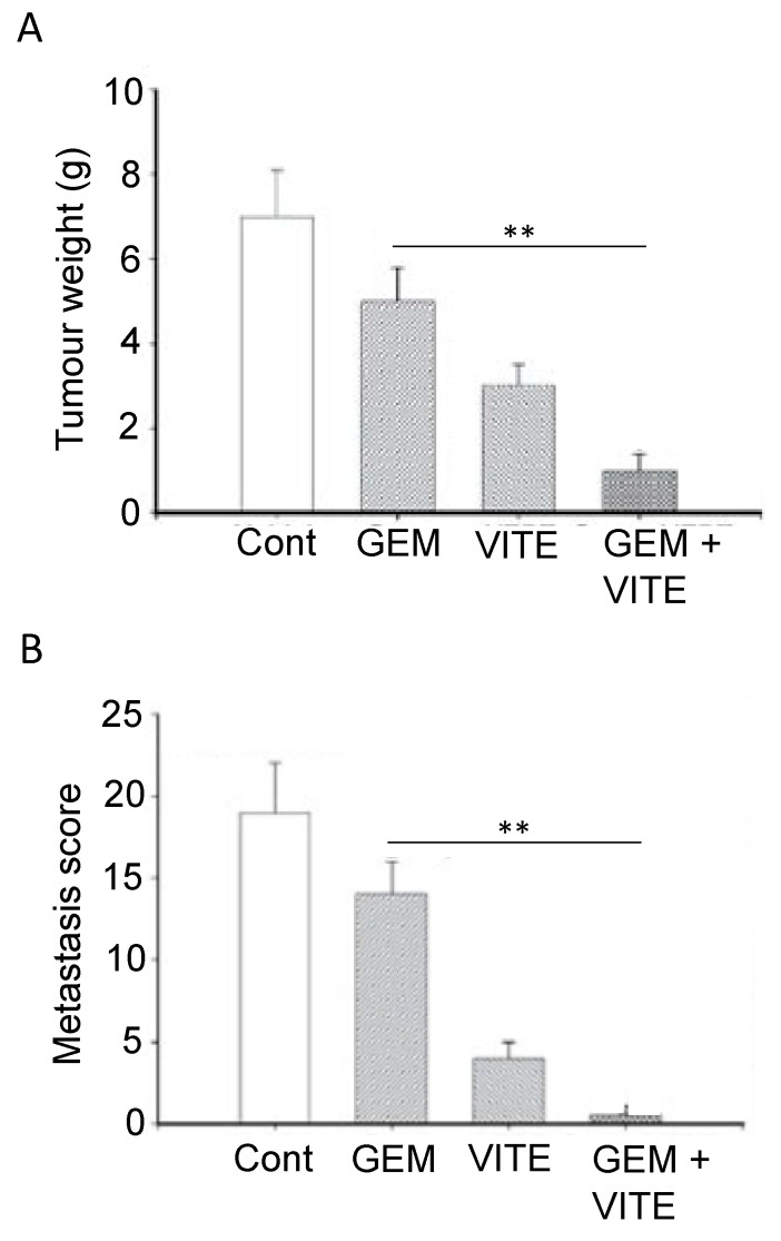 Effects of combining chemotherapy with a dietary compound: Vitamin E. (A) Tumor weights in an orthotopic xenograft mouse model of pancreatic cancer, treated with gemcitabine (GEM), delta-tocotrienol, a natural form of vitamin E (VITE) and their combination (GEM + VITE). Control (Cont) was olive oil. The effect of the combination was significantly greater than gemcitabine alone (p < 0.01) (**). (B) From the same experiment as in (A), showing the effect of the treatments on liver metastasis (scored as photons/cm2/second/steridian × 104). The effect of the combination was significantly greater than gemcitabine alone (p < 0.01) (**). Modified from Husain et al. [230].