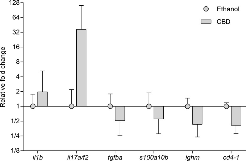 Gene expression analysis.The figure shows the geometric mean and geometric SD of the expression of 6 out of 23 immune related genes studied by quantitative real time PCR and analyzed by the 2−ΔΔCT method [19]. Only statistically significant results p<0.5 (Student’s t-test) are shown. The folds (2−ΔΔCT) below 1 appear as fractions (e.g. 1/8 indicating 8 fold down regulation). A more comprehensive resume of all the gene expression results is available in S1 Table.