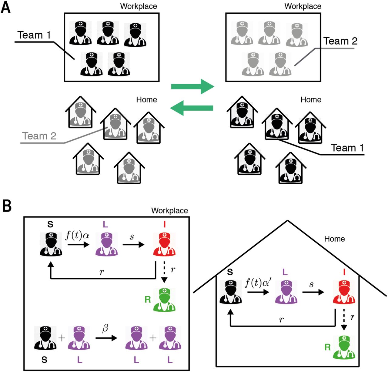 Sketch of the Susceptible Latent Infected Work model (SLIW) and Susceptible Latent Infected Recovered Work model (SLIRW) models. (A) Scheme of work shifts between two teams changing their location in the workplace and at home once per week. (B) Infection dynamics at the workplace and home. See Sec. 2.2 and 2.3 for further details. Image of the doctor adapted from (17).
