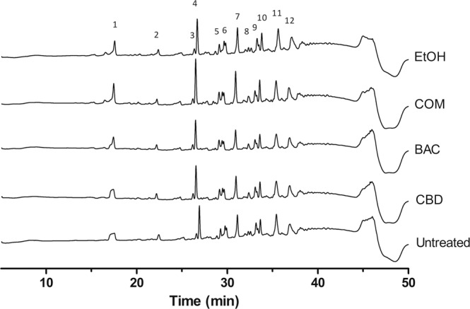 Effect of CBD and BAC on the muropeptide composition of USA300 peptidoglycan. Peptidoglycan was isolated from cultures grown to exponential phase in the absence or presence of CBD or BAC and muropeptide compositions were analysed by HPLC as described in Methods. Muropeptide analysis was performed twice with similar profiles. X-axis show retention time in minutes, Y-axis show milli absorbance units (mAU). One biological replicate is depicted in the figure. Two other replicates are shown in Supplementary Figure S7.