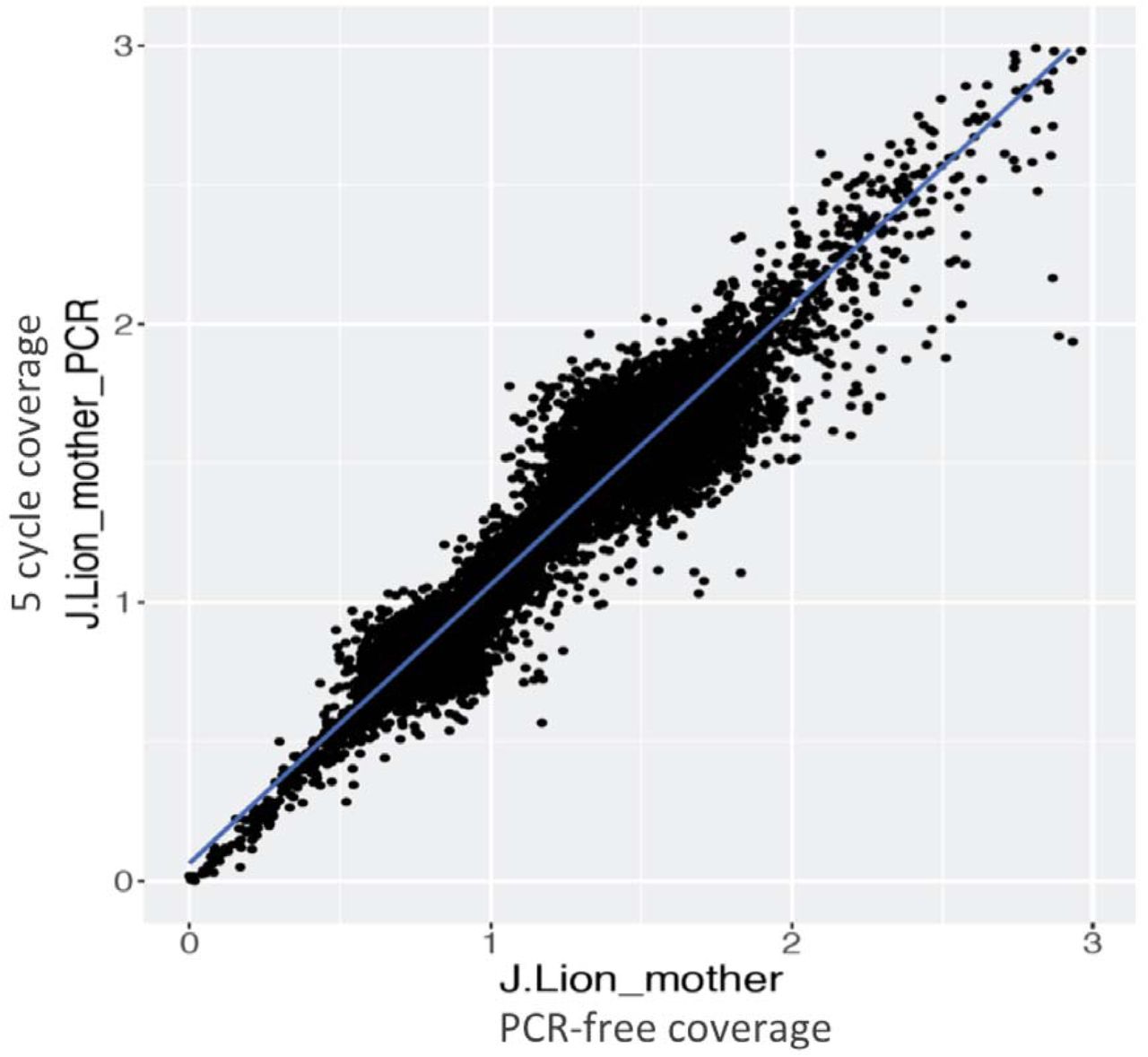 Normalized autosomal gene coverage comparison (without organelle genomes) between PCR-free Illumina sequencing of the maternal Jamaican Lion DNA and 5 cycles of PCR on the same library. Coverage correlation for all genes is very high (r= 0.999).